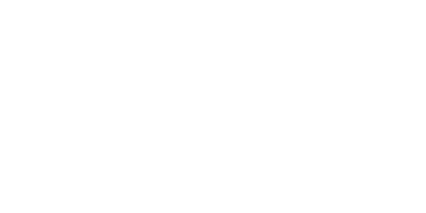 에이스 프로바이더 logo